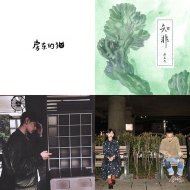 从鱼仔开始