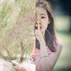 花儿