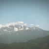 蜂蜜大吉岭