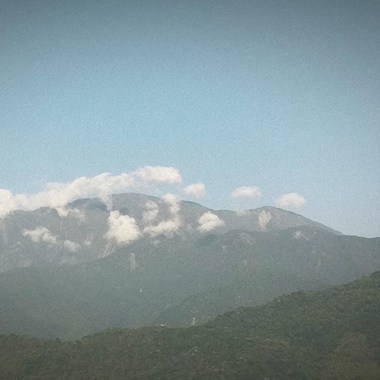 蜂蜜大吉岭