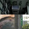 好听