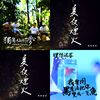 理想混蛋