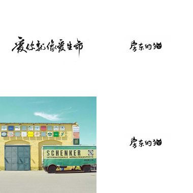 房东的猫