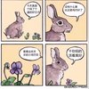 我很喜欢。