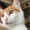 摇滚一点点
