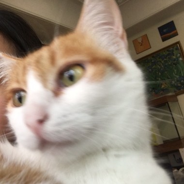 摇滚一点点