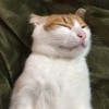 晚安明天见