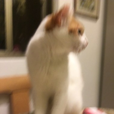 test1