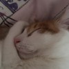 伤心欲绝