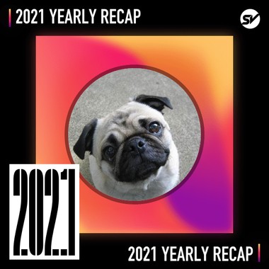 2021 个人年度精选之最