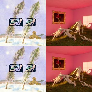 🪽