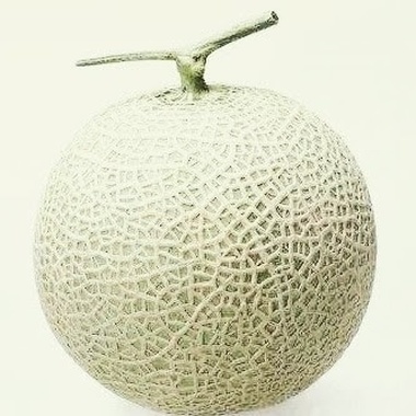 晨昏星