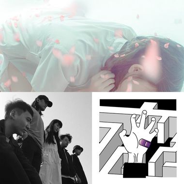 纯歌曲
