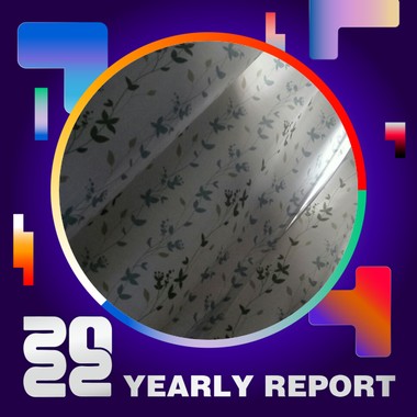 2022 个人年度精选