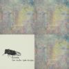 cicada