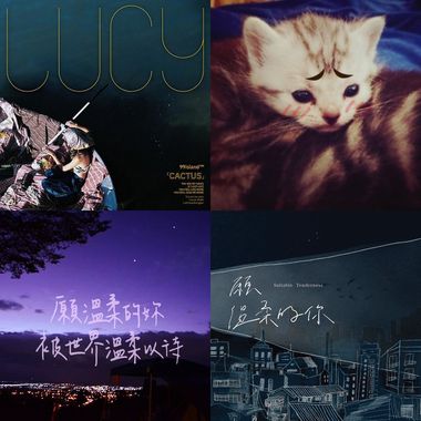我的歌单 1