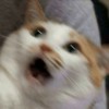 lar