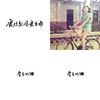 房东的猫
