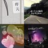 悲伤但不失望
