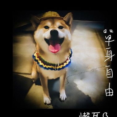 青春