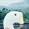 恶鹅爱乐：静