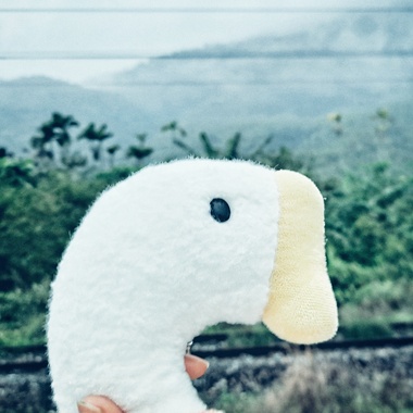 恶鹅爱乐：静