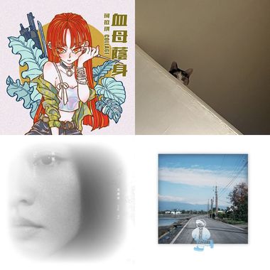 跟风仔