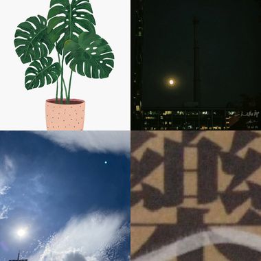 休