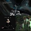 Crazy Music