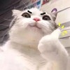 慢慢来吧