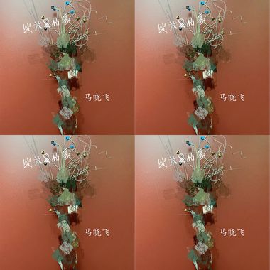 绽放&枯萎