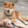 血球异常增生中