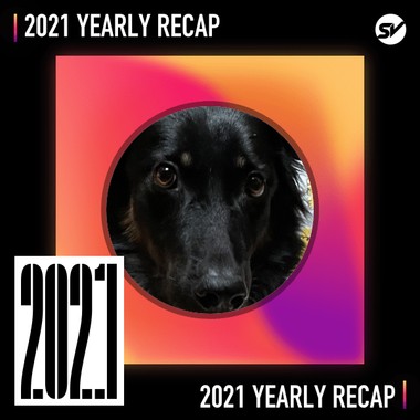 2021 个人年度精选之最