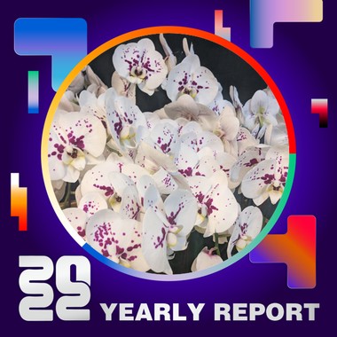 2022 个人年度精选