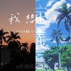 我的歌单 1