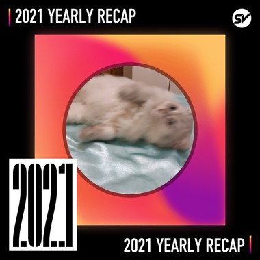 2021 个人年度精选之最