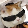 BK