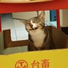 歌曲