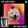 2021 个人年度精选之最