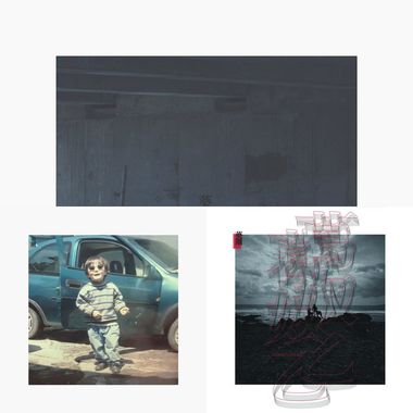 葵刚