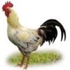 好听好听