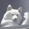 烟熏舒服chill声音?