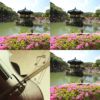 主的声音