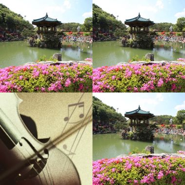 主的声音