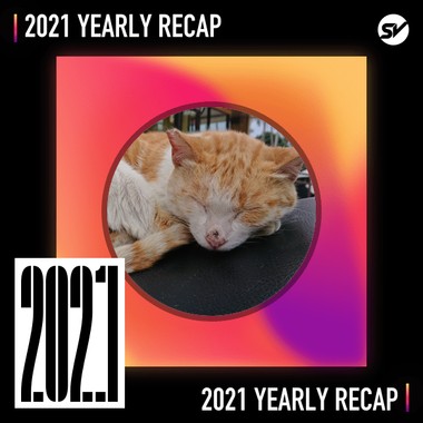 2021 个人年度精选之最