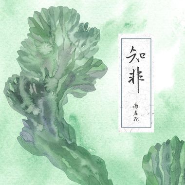 谢春花