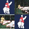 ElephantGym
