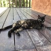 眼泪掉下来