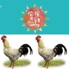 偷摸大鸡