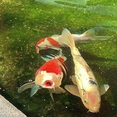 精神粮食